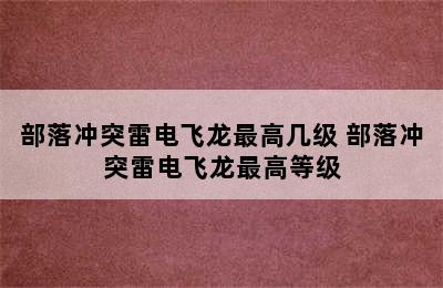 部落冲突雷电飞龙最高几级 部落冲突雷电飞龙最高等级